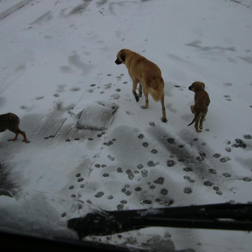 IMG_20220123_111446.jpg