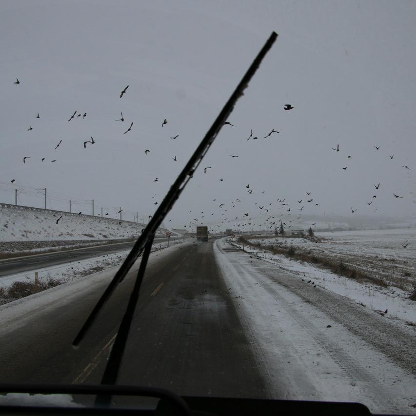 IMG_20220123_113128.jpg
