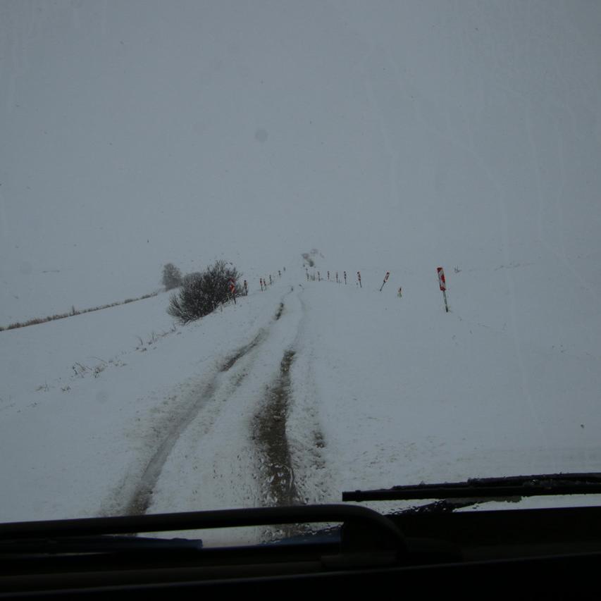IMG_20220123_133128.jpg