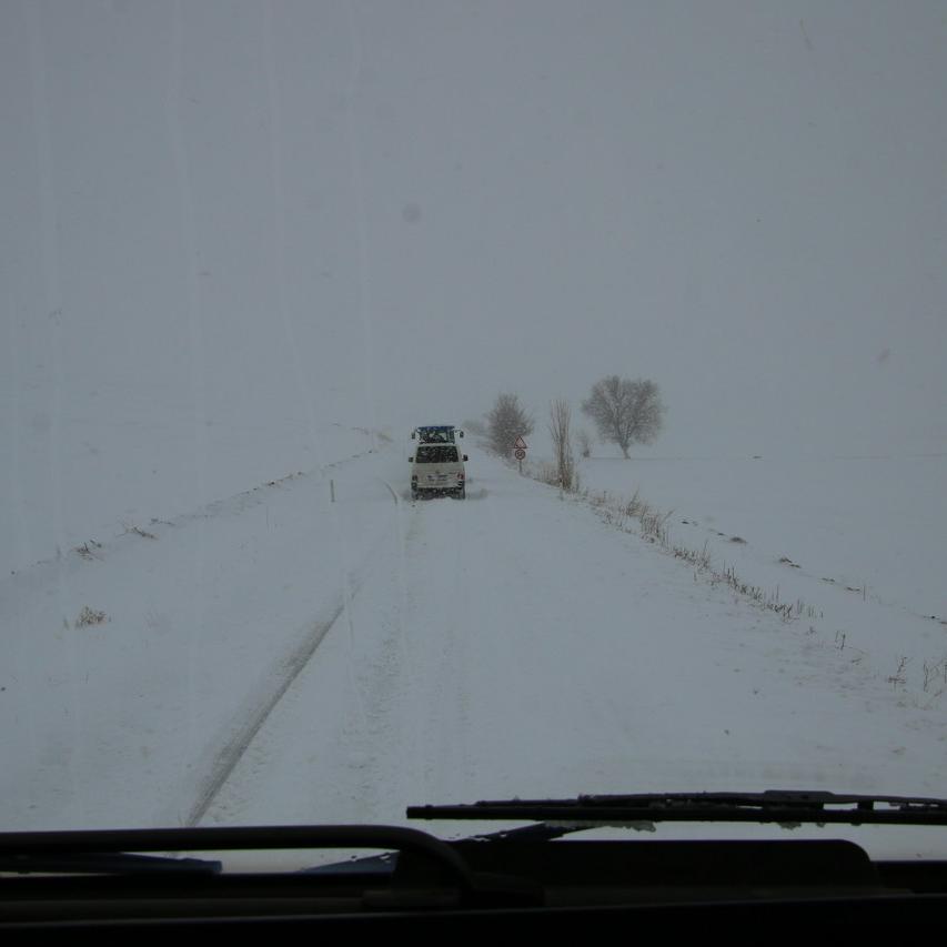 IMG_20220123_134042.jpg