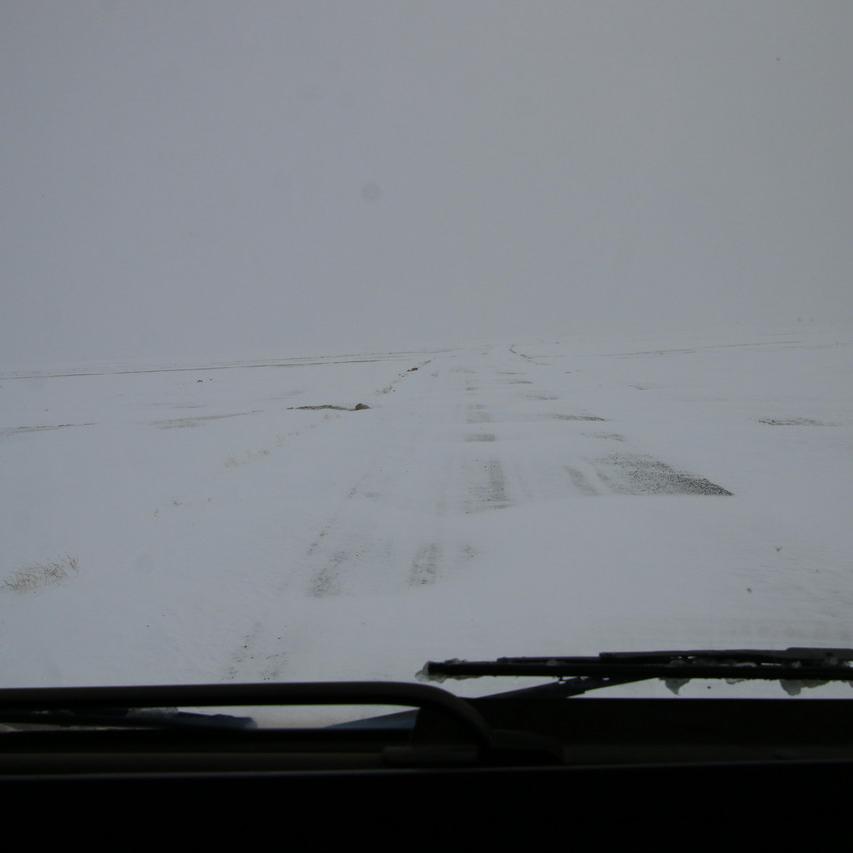 IMG_20220123_153924.jpg