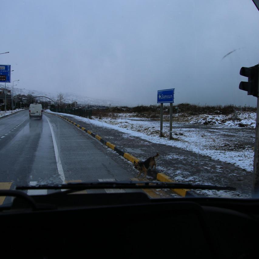 IMG_20220120_114258.jpg