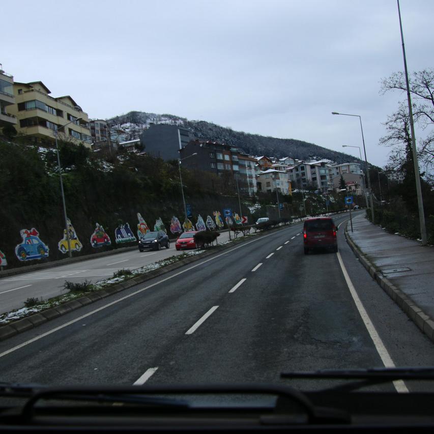 IMG_20220120_135535.jpg