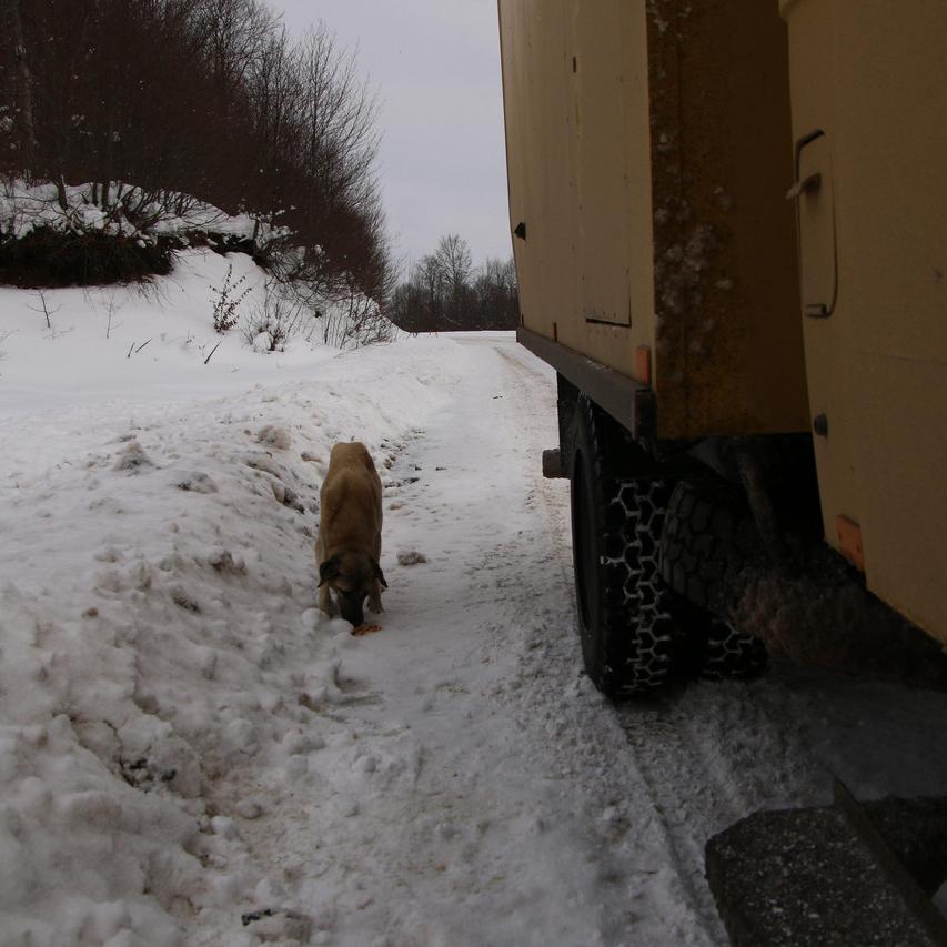 IMG_20220120_161559.jpg
