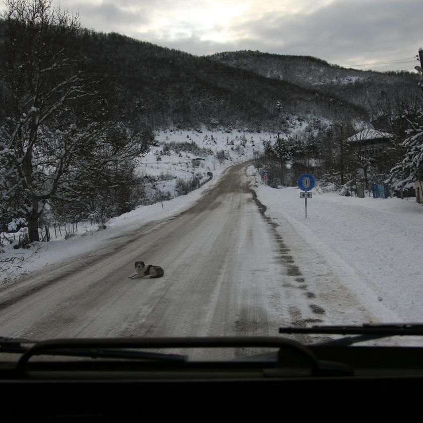 IMG_20220120_165202.jpg
