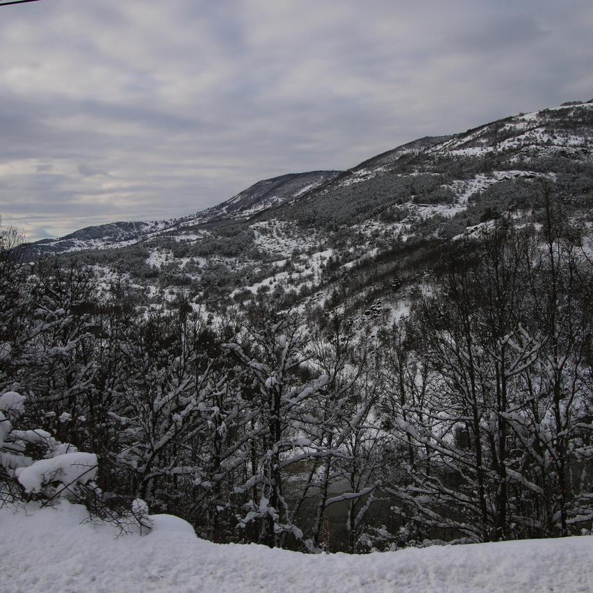 IMG_20220120_165331.jpg