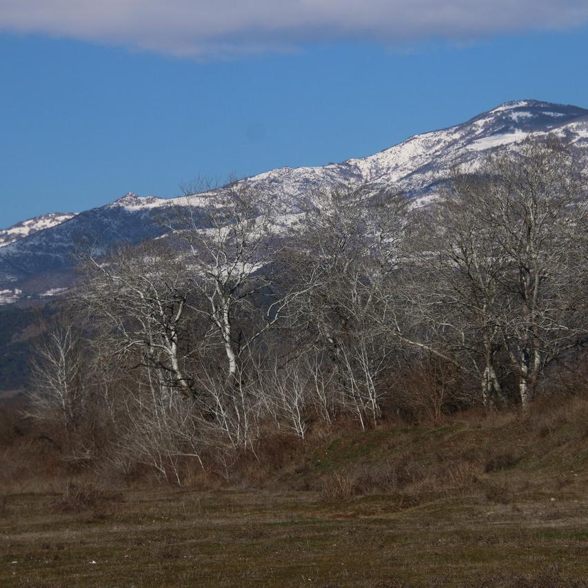 IMG_20220121_122313.jpg