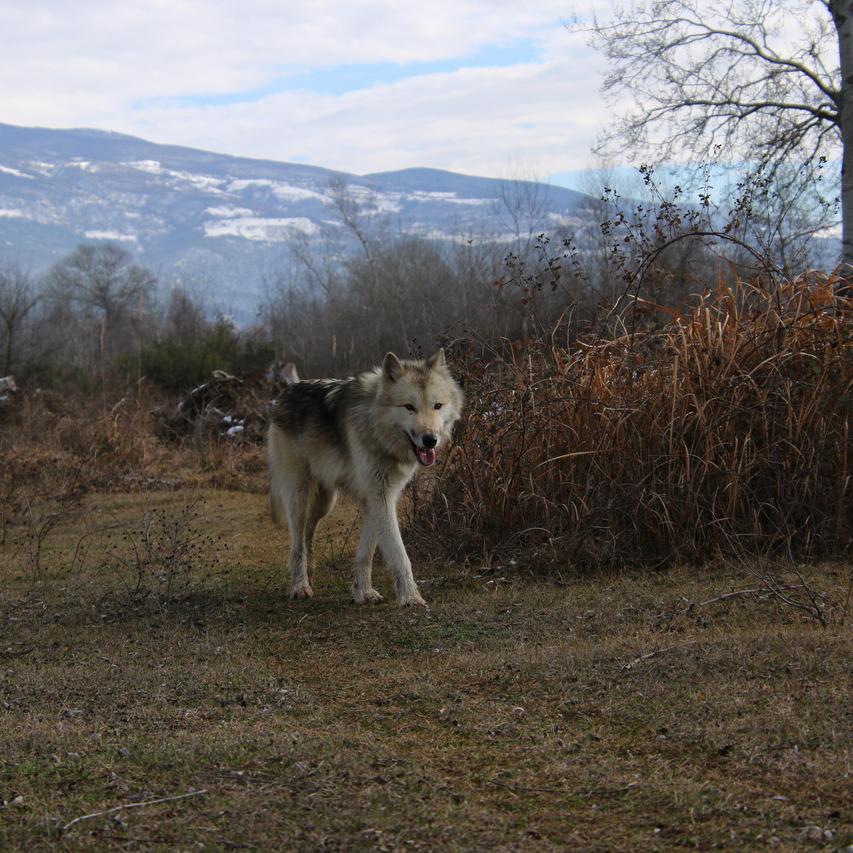 IMG_20220121_124617.jpg