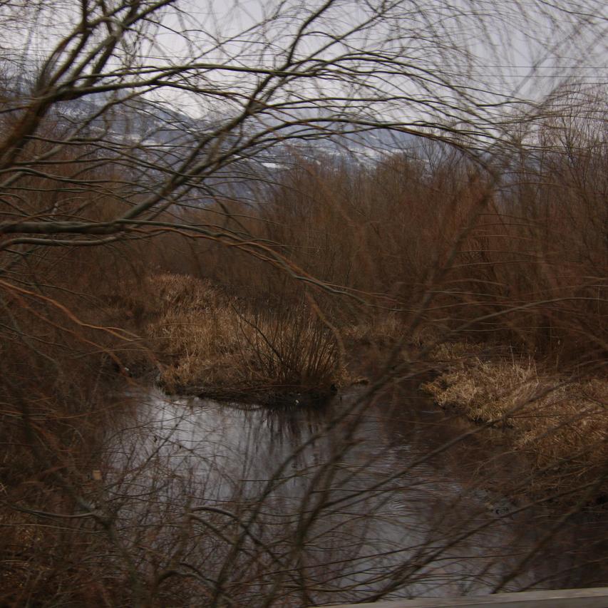 IMG_20220122_135114.jpg
