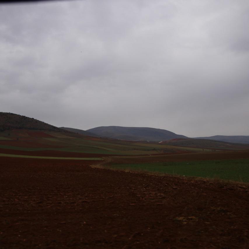IMG_20220122_142445.jpg