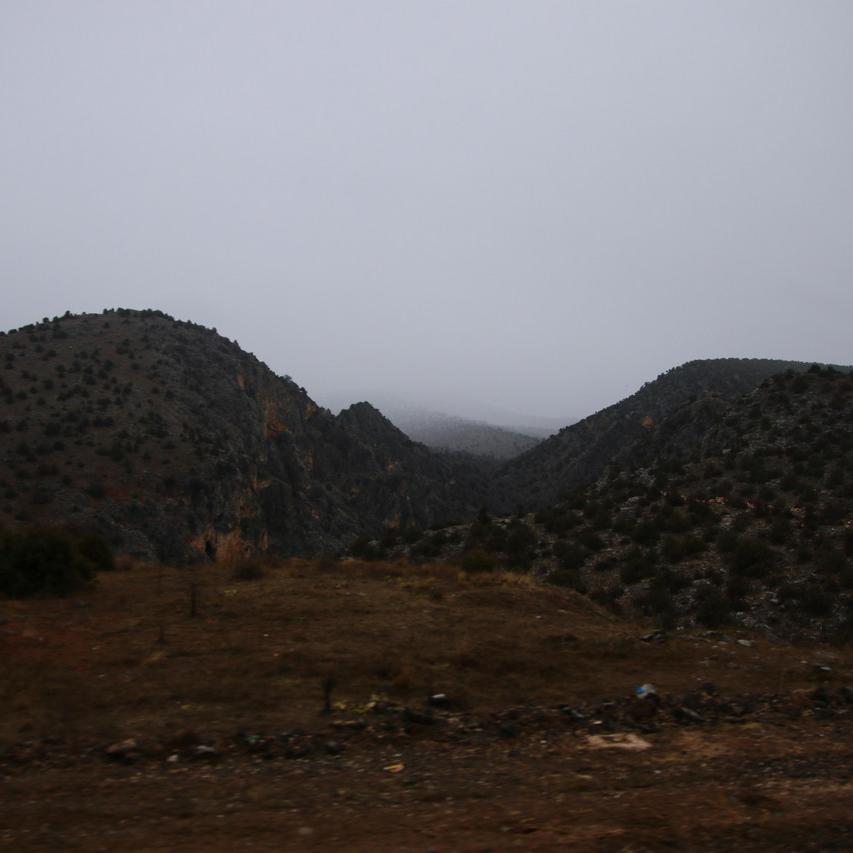 IMG_20220122_152833.jpg