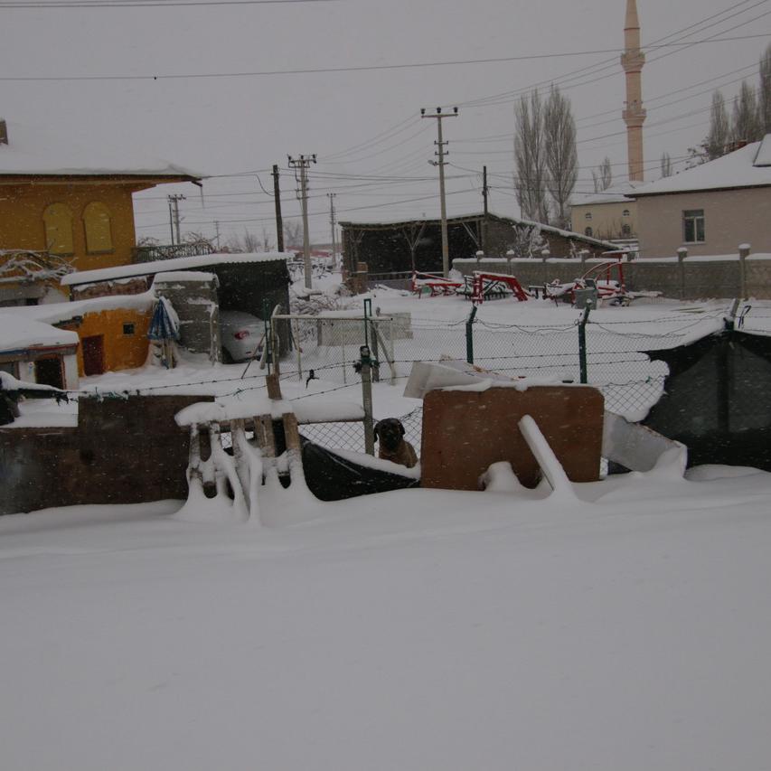 IMG_20220124_090158.jpg