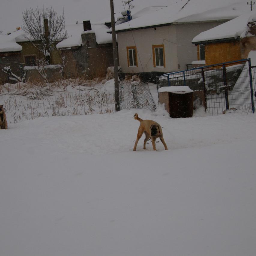 IMG_20220124_090202.jpg