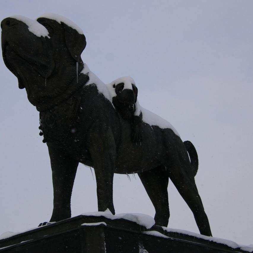 IMG_20220124_091405.jpg