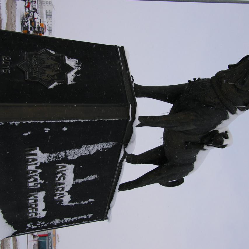IMG_20220124_091409.jpg