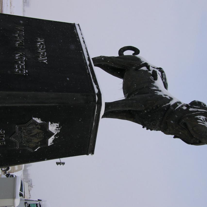 IMG_20220124_091330.jpg