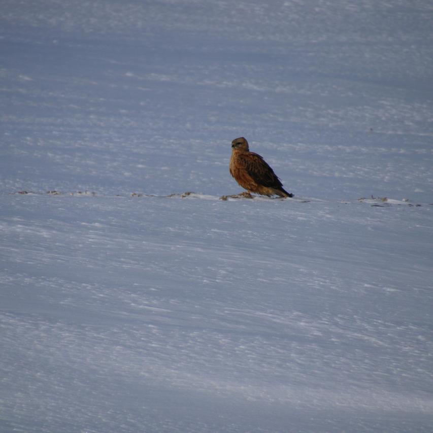 IMG_20220124_101847.jpg
