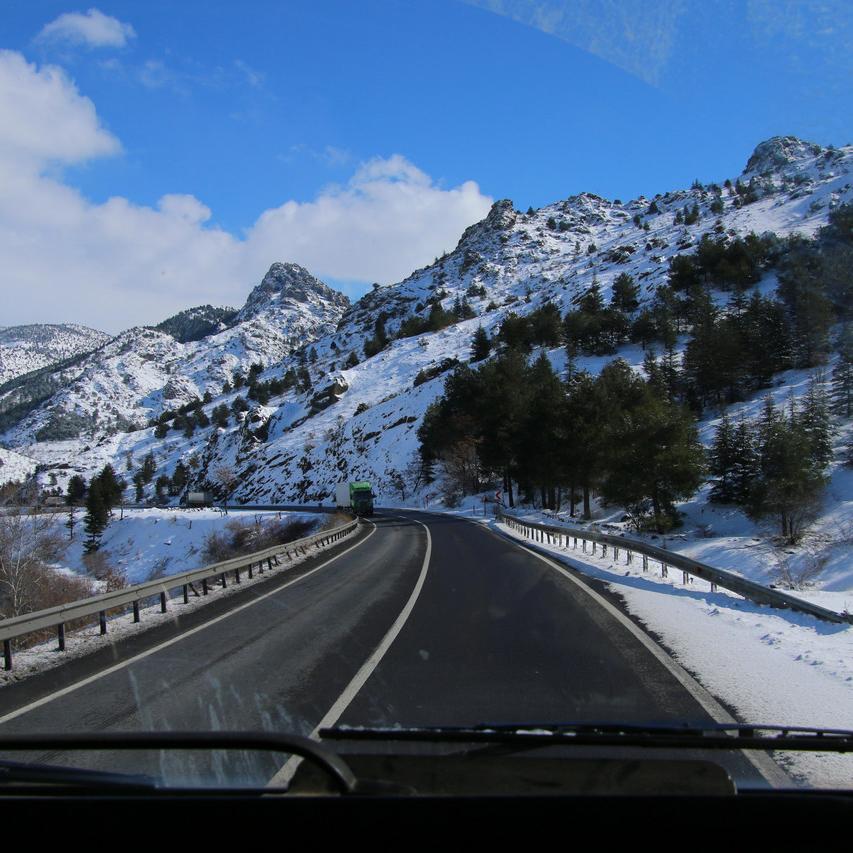 IMG_20220124_121932.jpg