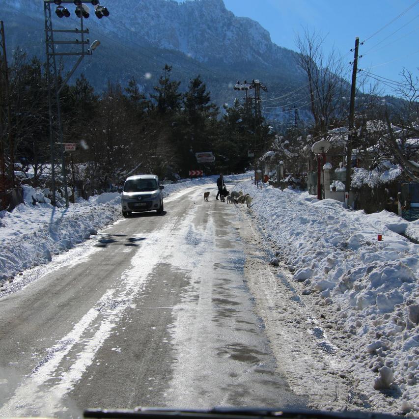 IMG_20220124_125444.jpg