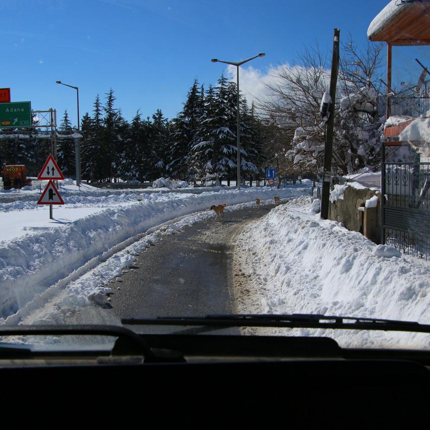 IMG_20220124_130606.jpg