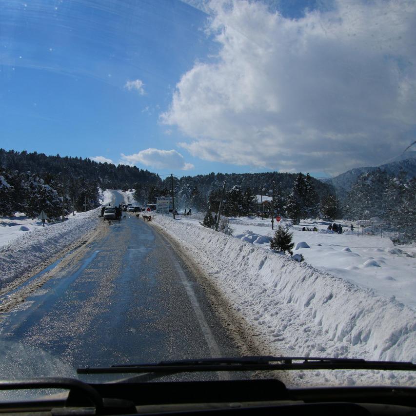 IMG_20220124_131434.jpg