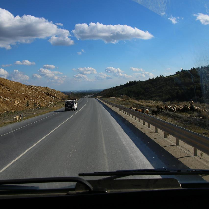 IMG_20220124_142939.jpg