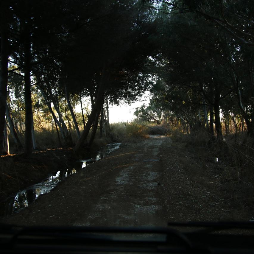 IMG_20220124_165507.jpg