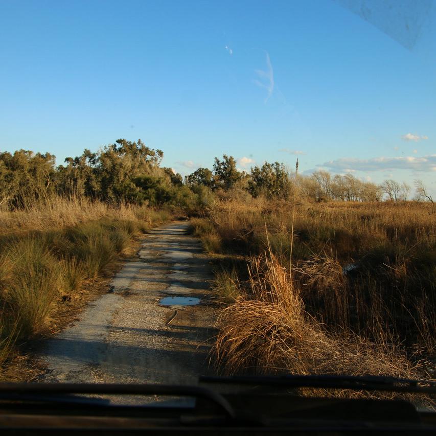 IMG_20220124_165729.jpg