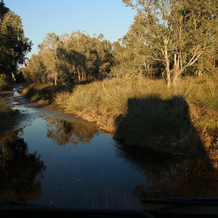 IMG_20220124_170300.jpg