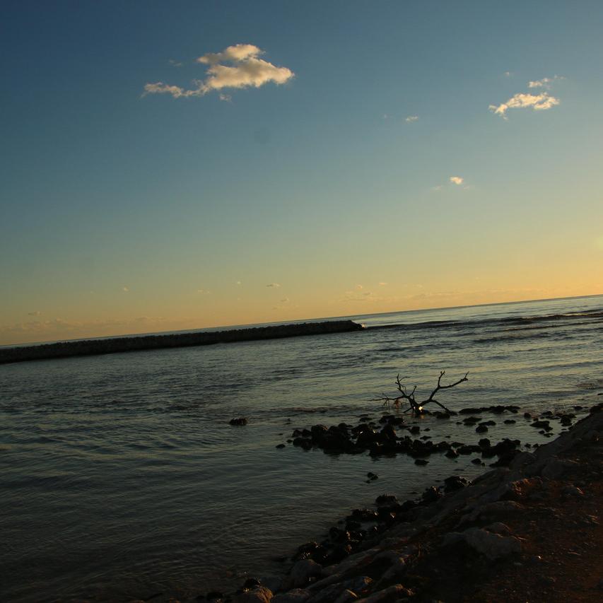 IMG_20220124_172613.jpg
