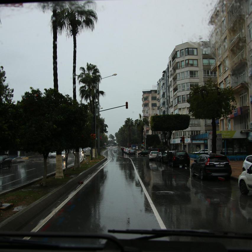 IMG_20220125_144551.jpg