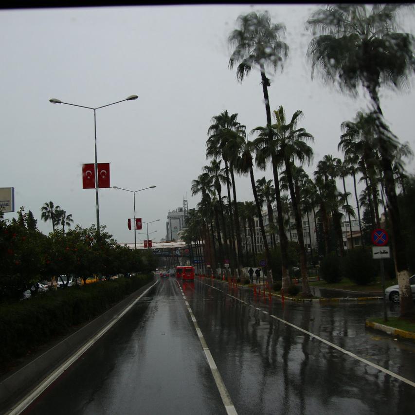 IMG_20220125_144236.jpg