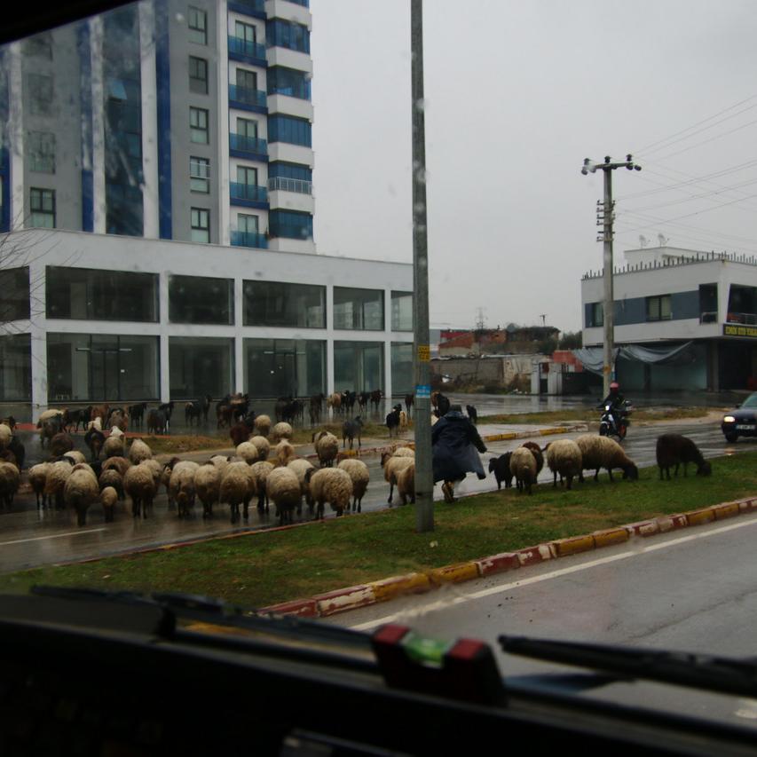 IMG_20220125_160059.jpg
