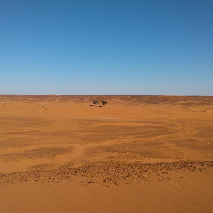 Marokko 03-2017 (159).JPG