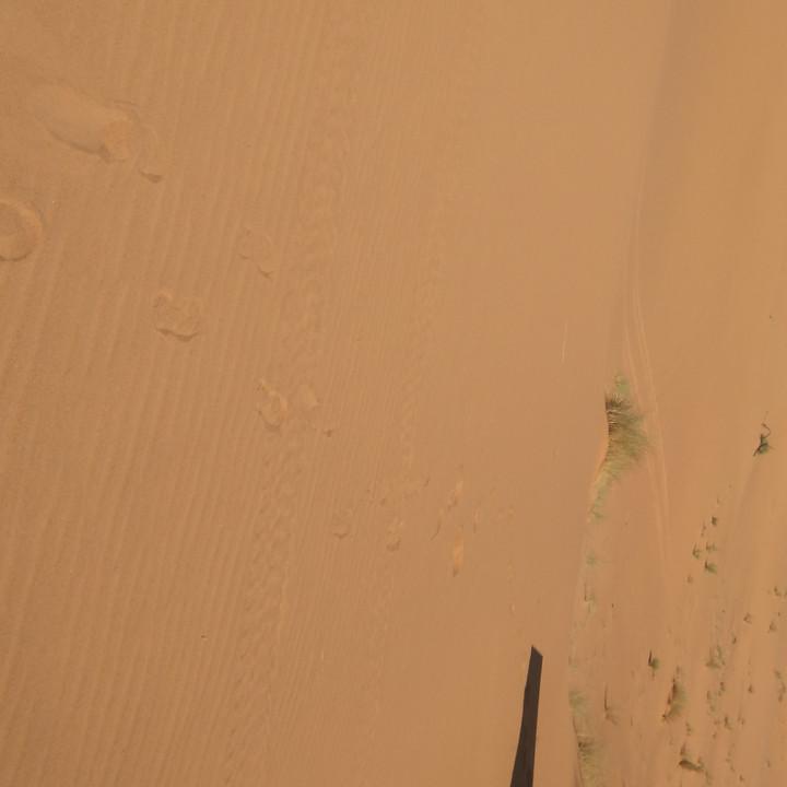 Marokko 03-2017 (190).JPG