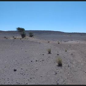 Marokko 03-2017 (116).JPG