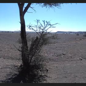 Marokko 03-2017 (123).JPG