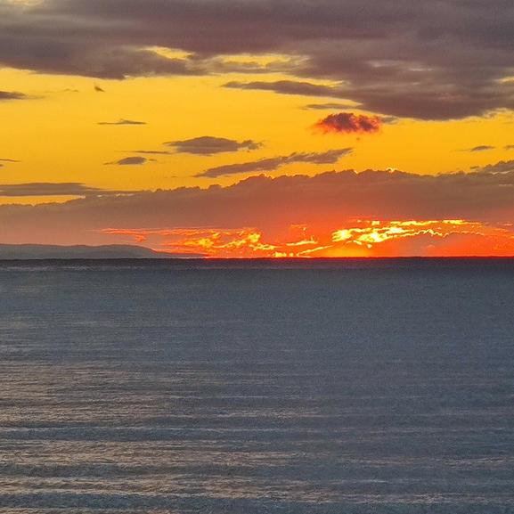 IMG_20201101_065301.jpg